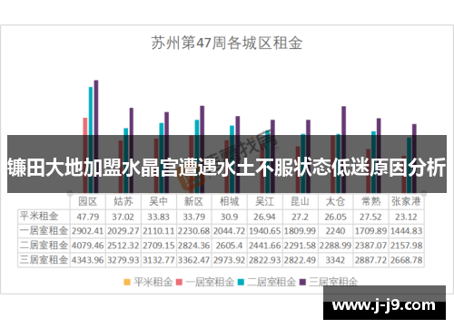 镰田大地加盟水晶宫遭遇水土不服状态低迷原因分析